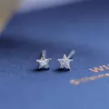 Ruifan-Boucles d'oreilles à tige en argent regardé 925 pour femme petite étoile noir cubique