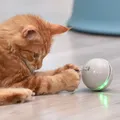 Balle rotative Interactive pour chats et chiens Rechargeable par USB accessoire d'intérieur à