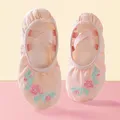 Chaussures de Ballet en toile brodée pour filles chaussures de pratique de danse pantoufles de