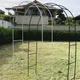 Support de plantes d'arc de mariage pour serre cadre de jardin en métal cadre d'arcs de fleurs