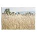 Stupell Industries Rural Wheat Field Spring Breeze Photograph Unframed Art Print Wall Art Design by Elizabeth Urquhart