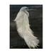 Stellar Design Studio Textured Egret II Canvas Art