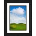 Eggers Terry 13x18 Black Ornate Wood Framed with Double Matting Museum Art Print Titled - USA-Washington State-Palouse Region-Patterns in the fields of fresh green Spring wheat