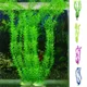 Plantes sous-marines artificielles pour la décoration de la maison poisson d'aquarium précieux