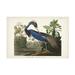 John James Audubon Louisiana Heron Canvas Art