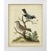 Edwards George 15x18 White Modern Wood Framed Museum Art Print Titled - Edwards Bird Pairs V