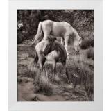 Drost David 15x17 White Modern Wood Framed Museum Art Print Titled - Beach Horses II