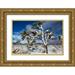 Muench Zandria 18x13 Gold Ornate Wood Framed with Double Matting Museum Art Print Titled - Winter storm-Joshua Tree National Park-California