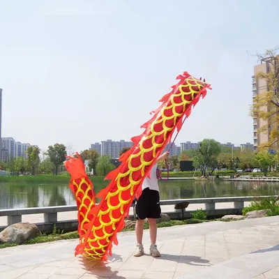 Accessoires de danse du dragon chinois double face pour enfants cadeau de pratique d'estampage