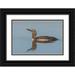 Archer Ken 18x13 Black Ornate Wood Framed with Double Matting Museum Art Print Titled - Red-throated Loon-misty morning