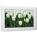Dana Styber 4x24 White Modern Wood Framed Wall Art Titled - White Tulips I