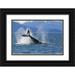 Paulson Don 32x23 Black Ornate Wood Framed with Double Matting Museum Art Print Titled - USA Alaska Orca whale tail lobbing