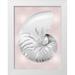 Kelly Caroline 12x14 White Modern Wood Framed Museum Art Print Titled - Silver Shell on Pink Blush II