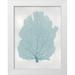 Miller Melonie 25x32 White Modern Wood Framed Museum Art Print Titled - Sea Fan Aqua I