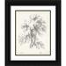 Unknown 20x24 Black Ornate Wood Framed with Double Matting Museum Art Print Titled - Birch Tree Study
