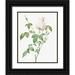 Redoute Pierre Joseph 12x14 Black Ornate Wood Framed with Double Matting Museum Art Print Titled - Monthly Rose Bengal Rose with White Flowers Rosa indica subalba