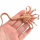 Figurine Alien Predator Chestburster Facehugger Modèle Xenomorph Figurines d'action 12 " Fire