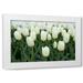 Dana Styber 32x23 White Modern Wood Framed Wall Art Titled - White Tulips I