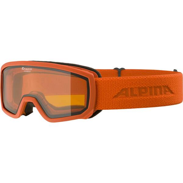 alpina skibrille