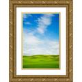 Eggers Terry 13x18 Gold Ornate Wood Framed with Double Matting Museum Art Print Titled - USA-Washington State-Palouse Region-Patterns in the fields of fresh green Spring wheat