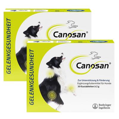2x Canosan Kautabletten bei Gelenkproblemen Hund mit Grünlippmuschel-Extrakt Gonex 2x30 St Image