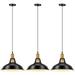 3 Light Vintage Pendant Light with Metal Shade Modern Industrial Hanging Close to Ceiling Retro Pendant Light Fixture for Living Room Kitchen Island Bar 12 inch