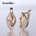 Boucles d'oreilles feuille découpée en Zircon blanc boucles d'oreilles ovales pour femmes et