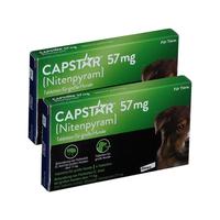 2x Capstar 57 mg gegen Flohbefall bei großen Hunden 2x6 St Tabletten