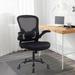 Inbox Zero Laguan Ergonomic Design Home Office Mesh Task Chair w/ Armrest, Adjustable Height & Lumbar Support Upholstered/Mesh in Black/Gray | Wayfair