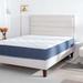 Full Firm 9" Innerspring Mattress - Alwyn Home 9” | 84 H x 76 W 9 D in Wayfair 8F6F857DDF9C404ABBBF59A91DE8955A