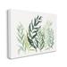 Stupell Industries Layered Plant Leaves Botanical Canvas Wall Art By Grace Popp Canvas in Green/White | 16 H x 20 W x 1.5 D in | Wayfair