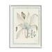 Stupell Industries Detailed Plant Study Botanicals Giclee Art By Vision Studio Canvas in Gray | 14 H x 11 W x 1.5 D in | Wayfair ar-117_wfr_11x14