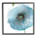 Stupell Industries Modern Floral Poppy Shape Framed Giclee Art By Carol Robinson Canvas in Blue | 24 H x 24 W x 1.5 D in | Wayfair ar-785_fr_24x24