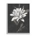 Stupell Industries Traditional White Dahlia Flower Framed Giclee Art By Nina Blue Canvas in Black/White | 14 H x 11 W x 1.5 D in | Wayfair