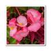 East Urban Home Pink Flower Magnet | 3 H x 3 W x 1 D in | Wayfair 24E991A9DC57465DA53484591D2B6957