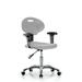 Latitude Run® Task Chair Aluminum in Gray | 27 W x 27 D in | Wayfair B4A73B5585144B2799EE39E5D2B65F8E