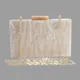 Petits sacs à bandoulière en acrylique pour femmes sacs à main initiés par dame fourre-tout