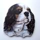 Cavalier King Charles Key Rack - King Charles Spaniel - Cavalier King Charles Spaniels D31-SKR