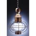 Northeast Lantern Onion 17 Inch Tall Outdoor Hanging Lantern - 2542-AB-MED-CLR
