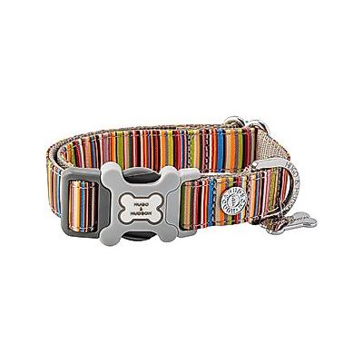 HUGO & HUDSON Nylon Striped Bone Buckle Dog Collar, Multi-colored, Small