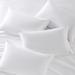 Vera Wang Printed Cotton Sheet Sets