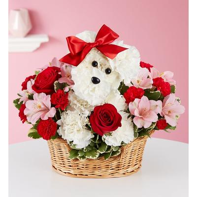 1-800-Flowers Everyday Gift Delivery Love Pup