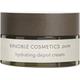 Vinoble Cosmetics Pure Hydrating Depot Cream 50ml Gesichtscreme