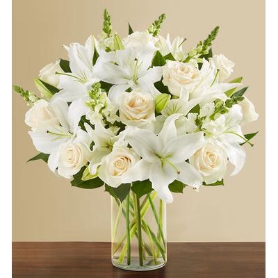 1-800-Flowers Everyday Gift Delivery Classic All White Arrangement For Sympathy Xl