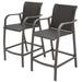 Crestlive Products 35in Height Wicker/Rattan Bar Stool Chairs in Brown (Set of 2)