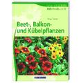 Beet-, Balkon- Und Kübelpflanzen - Helga Panten, Kartoniert (TB)