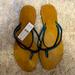 J. Crew Shoes | Jcrew Flip Flops | Color: Green | Size: 9