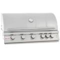 Blaze Grills 5-Burner Built-In Convertible Gas Grill Stainless Steel in White | 21.25 H x 39.5 W x 25.5 D in | Wayfair BLZ-5LTE2-NG