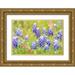 Wilson Emily M. 14x11 Gold Ornate Wood Framed with Double Matting Museum Art Print Titled - Llano-Texas-USA-Indian Paintbrush and Bluebonnet wildflowers in the Texas Hill Country