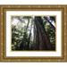 Talbot Frank Christopher 14x12 Gold Ornate Wood Framed with Double Matting Museum Art Print Titled - Canada Vancouver This old-growth Douglas Fir